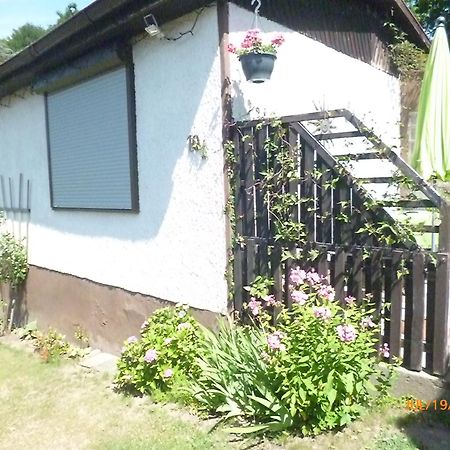 Ferienhaus Anne Thale Exteriér fotografie
